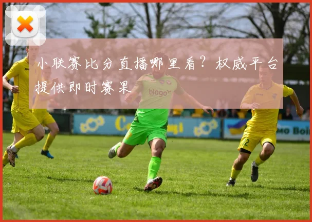 小联赛比分直播哪里看?权威平台提供即时赛果