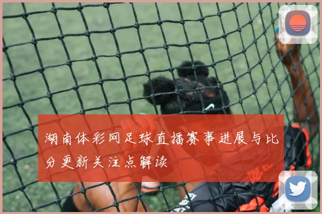 湖南体彩网足球直播赛事进展与比分更新关注点解读