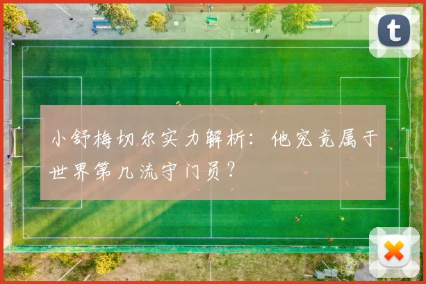 小舒梅切尔实力解析：他究竟属于世界第几流守门员？