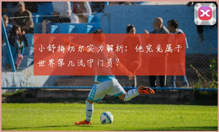 小舒梅切尔实力解析：他究竟属于世界第几流守门员？