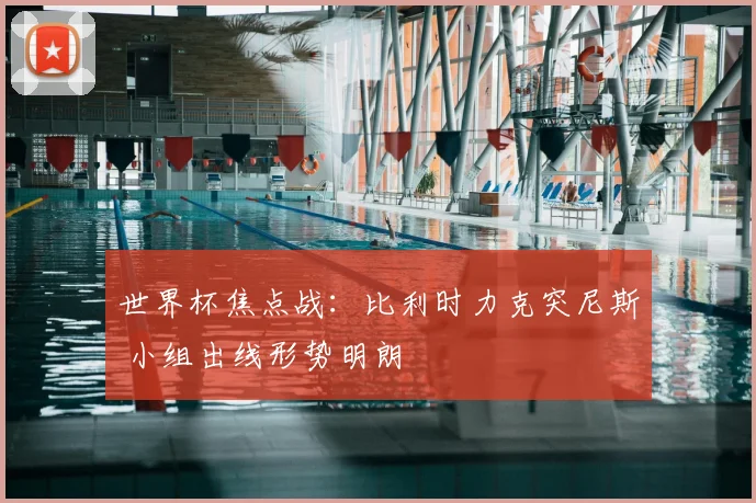 世界杯焦点战：比利时力克突尼斯 小组出线形势明朗