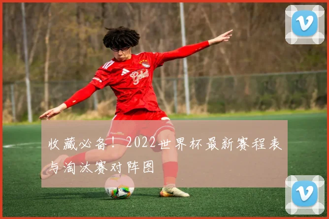 收藏必备!2022世界杯最新赛程表与淘汰赛对阵图