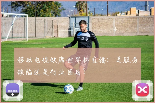 移动电视缺席世界杯直播：是服务缺陷还是行业困局？