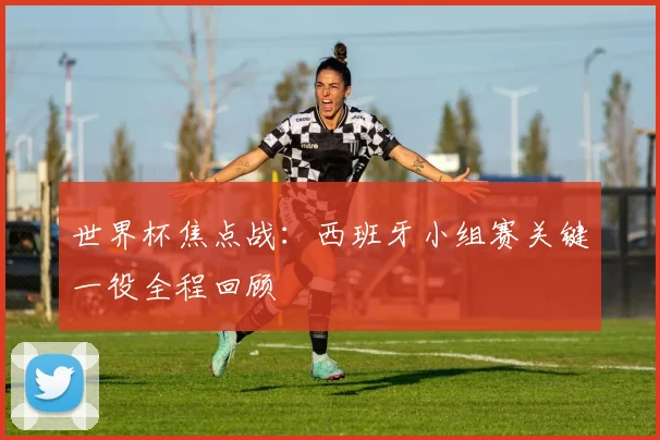 世界杯焦点战：西班牙小组赛关键一役全程回顾