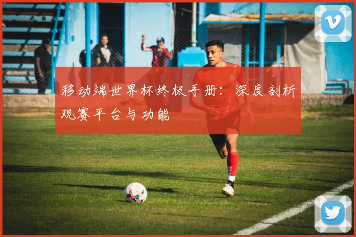 移动端世界杯终极手册：深度剖析观赛平台与功能