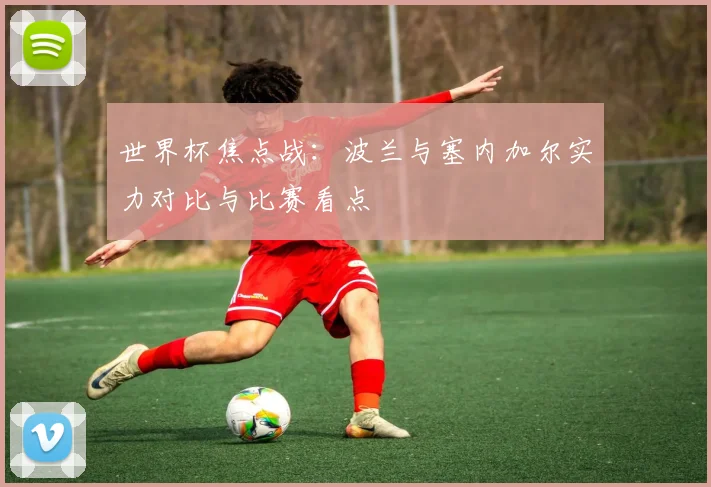 世界杯焦点战：波兰与塞内加尔实力对比与比赛看点