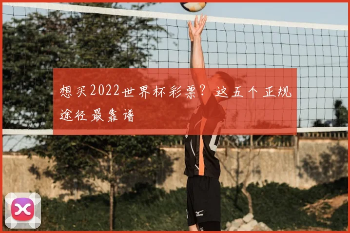 想买2022世界杯彩票？这五个正规途径最靠谱