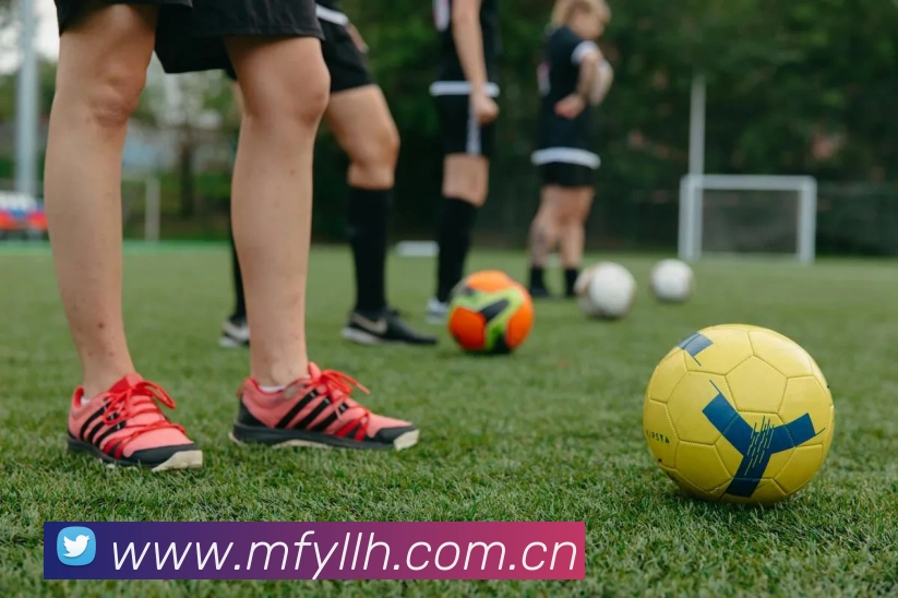 必一运动b体育官网平台生态图